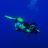 Rocco Meli (@roccomeli) 's Twitter Profile
