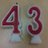 alcelestine24's profile image