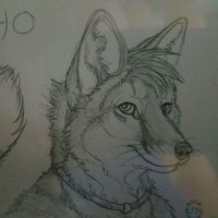 Echo T. Foxx(@EchoFoxxy) 's Twitter Profile Photo