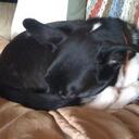 Tricia Cox - @tcox5980 - Twitter