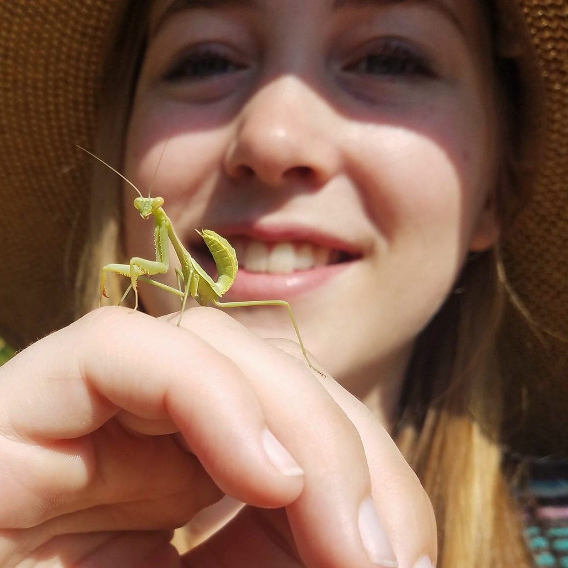 Postdoctoral Researcher at the @FieldMuseum, using #AI to study museum collections, beetles, and the evolution of color patterns 🪲