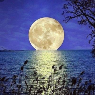 hermeselif's profile picture. 