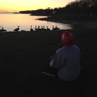 UxRush's profile picture. UX+UI Researcher & Designer