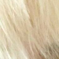 nameerror101's profile picture. 