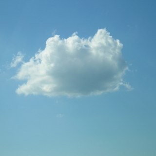 marsupialrobot's profile picture. 