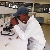 VUYO (@cool_guy_zither) 's Twitter Profile