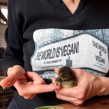 Concerned citizen of this world-Animal & Human Rights.