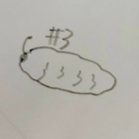 moochi (@moof_climber) 's Twitter Profile