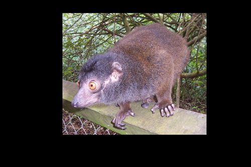 Splodge100's profile picture. 