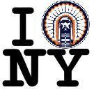 Metro NY Illini Club, a regional supplementary chapter of the University of Illinois Alumni Association(UIAA)