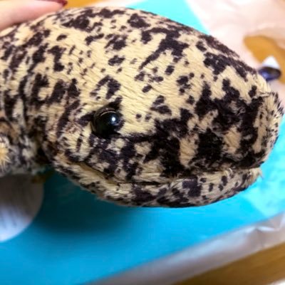 気づいたらPixies Assembleにいた人 フランスパンは二人で一本だ！