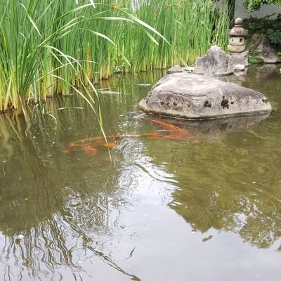 rinne3rinne3's profile picture. 