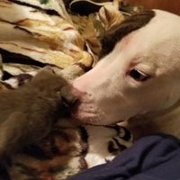 Paulla King (@king_paulla) 's Twitter Profile Photo Paulla King (@king_paulla) 's Twitter Profile Photo