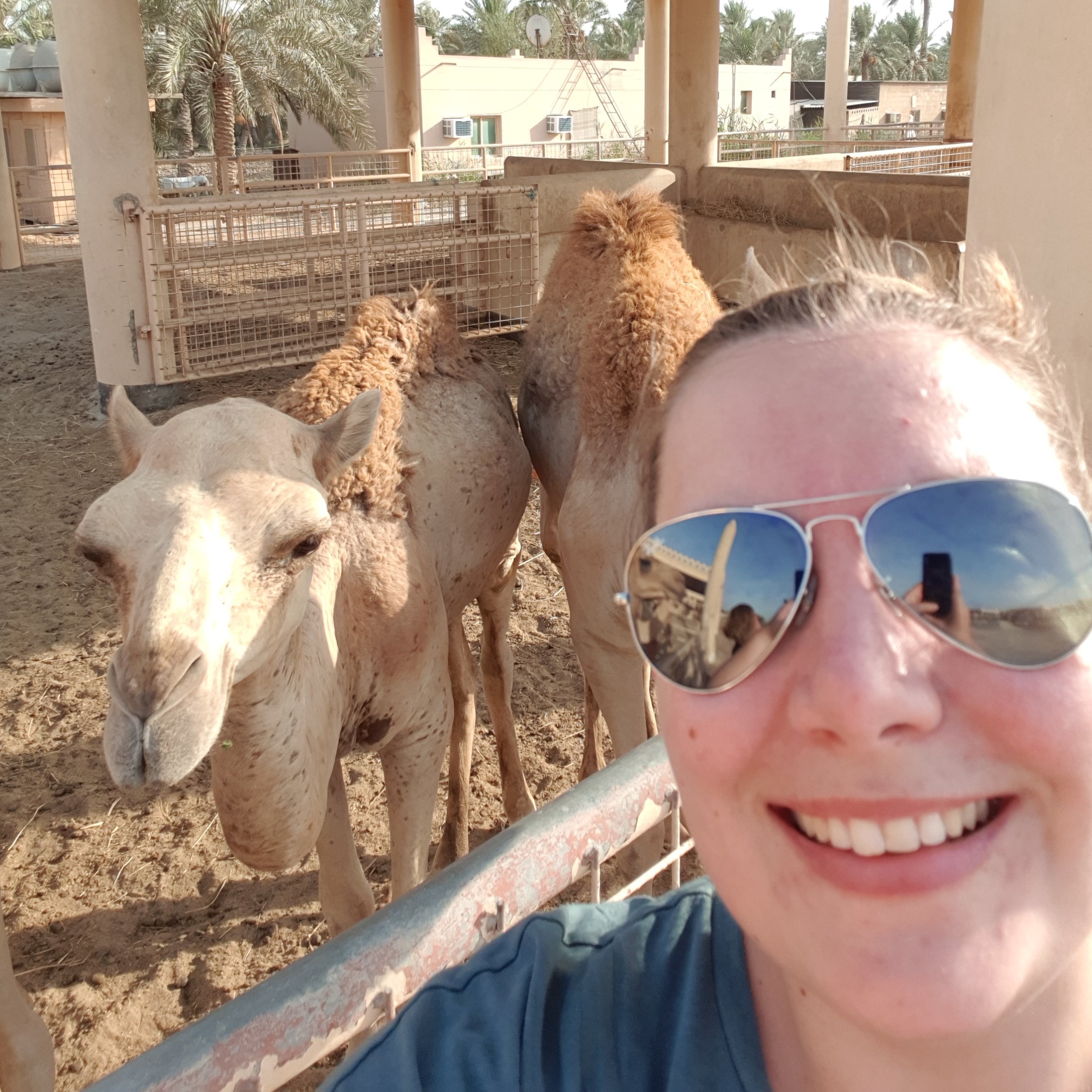 AWandeloh's profile picture. 