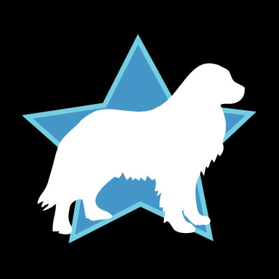 National Great Pyrenees Rescue is a coalition of rescuers and rescue groups dedicated to saving purebred and mixed Great Pyrenees dogs.