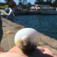 Kuen (@kuekuehs) Twitter profile photo