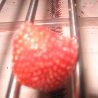 Cristian Vega Pedraz (@frutascongelada) 's Twitter Profile