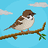 The_Sparrow1117's profile image