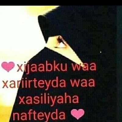SaafiALI5's profile picture. saafi Ali
