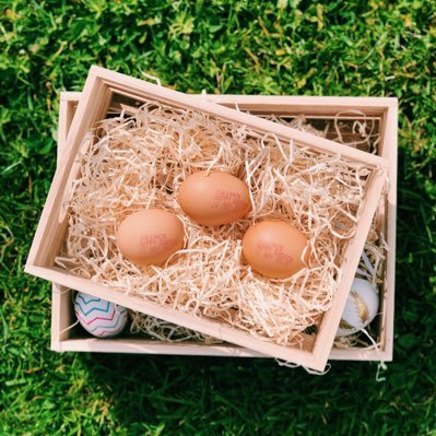 CountryFlavours's profile picture. We produce yummy free range eggs in Herefordshire