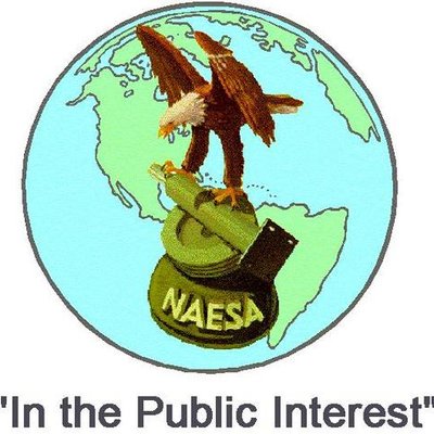 NAESAI's profile image