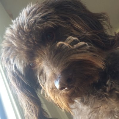 penquinkk's profile picture. 