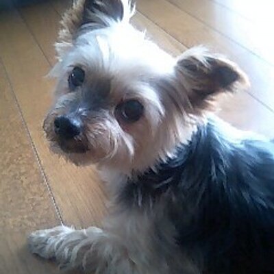 ゆんさん専用 次の髪色何にしよっかな〜ってずっと考えてる🤔 何色がいいと