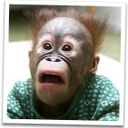 John Eustace - @computwitty - Twitter