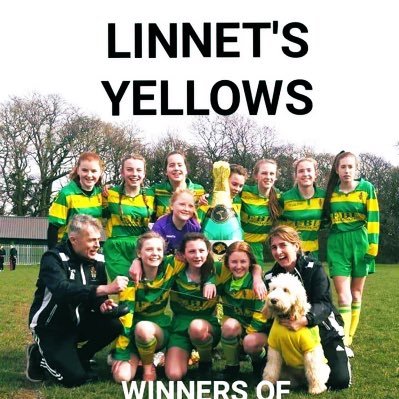 Runcorn Linnets U13 yellows JFC. Wirral U13⚽️ 2019 league and Cup champions. #Lovethegame #TheseGirlsCan