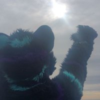 ShadowKat 🇺🇸 (@shadowkat2k) 's Twitter Profile