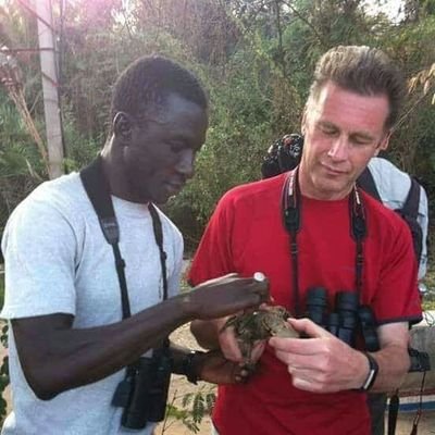 I am a Bird Guide in the Gambia and I offer a tours in the Gambia and Senegal, please call me now on 00220 7018174 or Email me, lamincamara95@hotmail.com,
