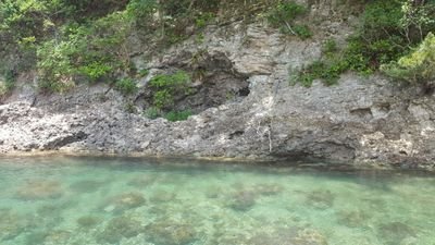 lemonpack0405's profile picture. ヘッダーの写真は出雲の秘境、韓竈神社への道中の景色です。
アイコンは…どこだったかな…なんか洞窟。