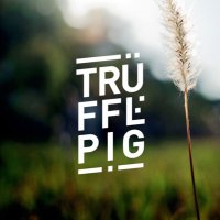 πΏπππππππππ (@trufflepig1) 's Twitter Profile