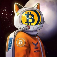 Crypto Lightonaut ⚡ (@cryptolightning) 's Twitter Profile