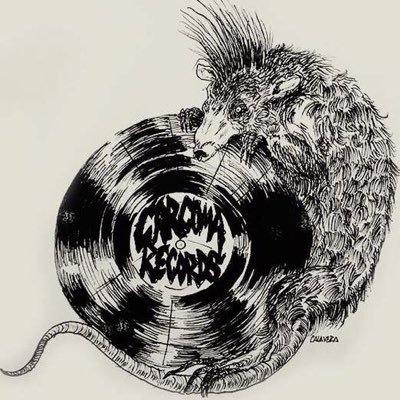Tienda/Distro de discos punk en México // Punk record store in Mexico City