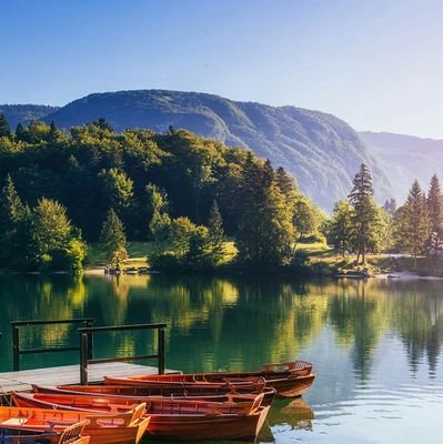 7YoBCcp6PIfcAK1's profile picture. 