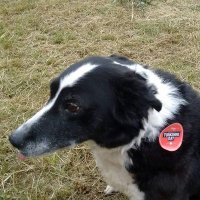 Yorkshire And Proud (@micklisterkrfc) 's Twitter Profile