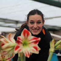 Romana Schirhagl (@rschirhagl) 's Twitter Profile