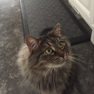 ynng22's profile picture. vibin