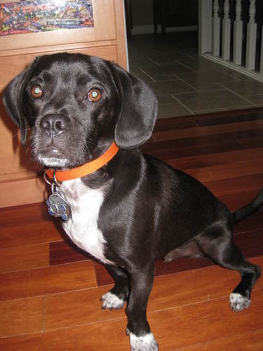 bboothgoiu's profile picture. 