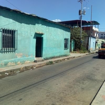 PERCYRAFAEL1's profile picture. Proteccionista animal. Amante de la ortografía, justicia, igualdad, paz.