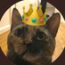 (harlans cat appreciation acct formerly artemis) (@QueenArtemis8) Twitter profile photo
