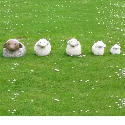 PNempont's profile picture. Chef de service stratégie et prospective