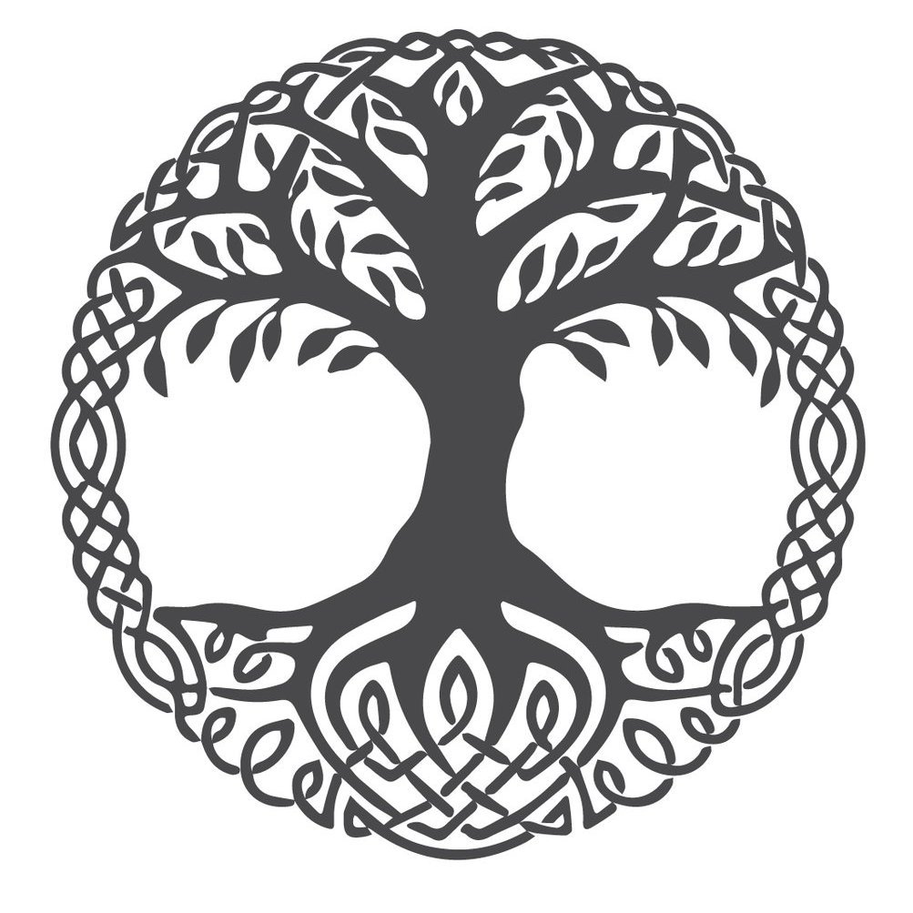 petitMaraicher's profile picture. J'vois pas l'intérêt d'essayer de doubler les autres si t'es déjà pas capable de te dépasser toi même.