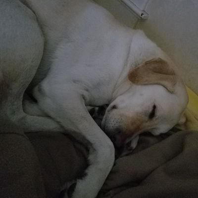 KTK88H's profile picture. 