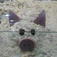 Leo Torresi (@leotorresi) 's Twitter Profile Photo