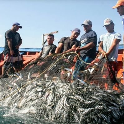 NotiPesca, la única revista digital del sector pesquero y acuícola en México, con soporte en la página web; en X y en facebook 'MásNoticiasPesqueras'.