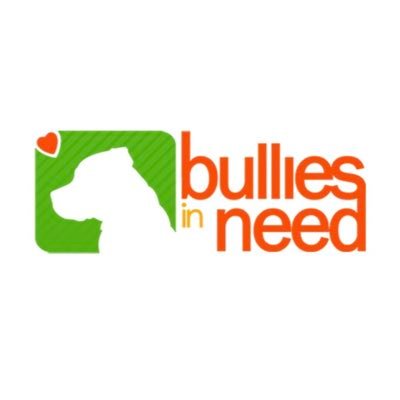 Bullies In Need is a rescue dedicated to the “pit bull type” dogs in Ontario who face euthanasia daily in Ontario’s shelters. 🐶❤️