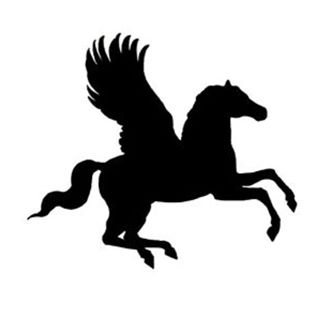 echs2021's profile picture. ECHS Class of 2021 💙🐎🦅 Follow for updates for the junior class n events