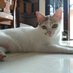 Debby Harry Tirtadjaja (@debbytirtadjaya) Twitter profile photo Debby Harry Tirtadjaja (@debbytirtadjaya) Twitter profile photo